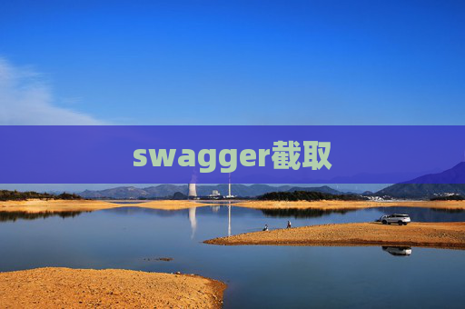 swagger截取